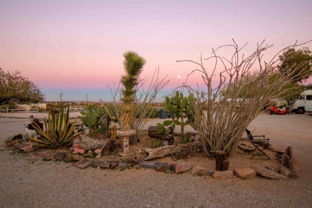 Joshua Tree Ranch House Motel - Downtown - Room #3 Eksteriør bilde
